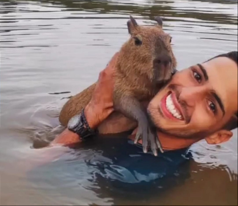 Capivara Filó é devolvida ao dono Agenor após decisão da Justiça