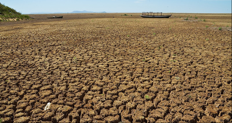 Piauí tem 82 cidades em estado de emergência devido à seca; confira lista