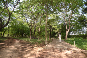 Floresta Fóssil do Rio Poti, um novo centro de pesquisa e educação ambiental
